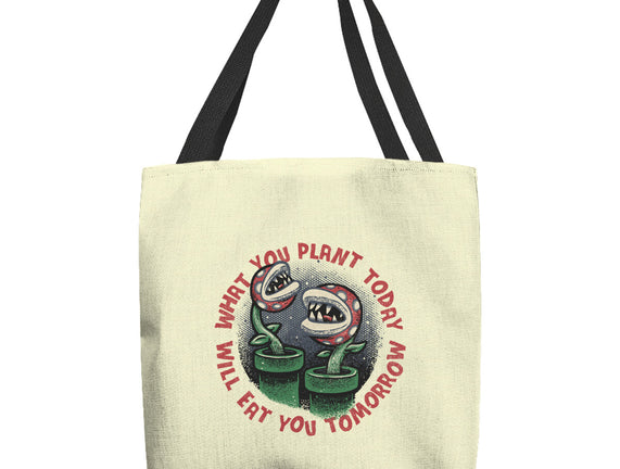 Plant Today Eat Tomorrow