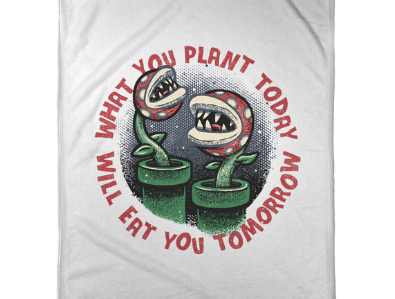 Plant Today Eat Tomorrow