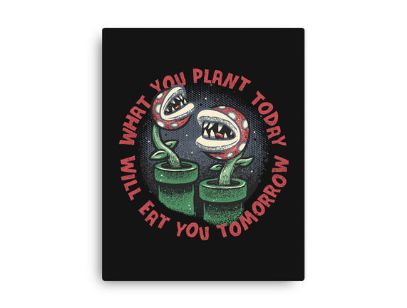 Plant Today Eat Tomorrow