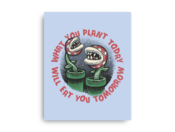 Plant Today Eat Tomorrow