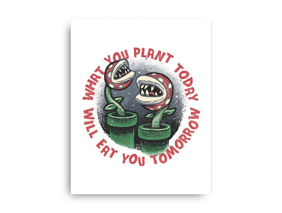 Plant Today Eat Tomorrow