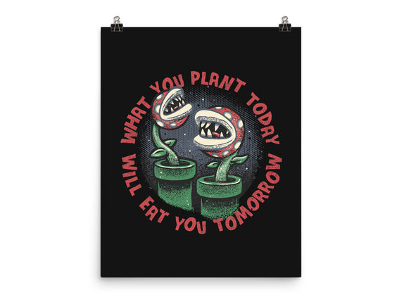 Plant Today Eat Tomorrow