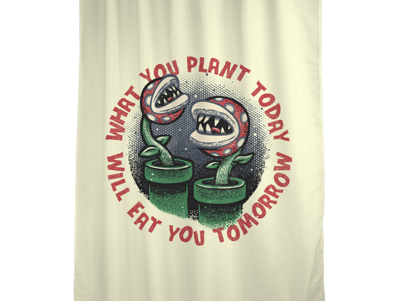 Plant Today Eat Tomorrow
