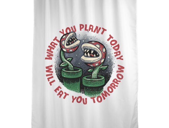 Plant Today Eat Tomorrow