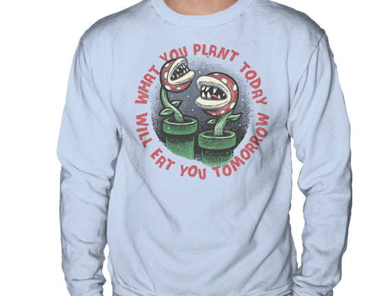 Plant Today Eat Tomorrow