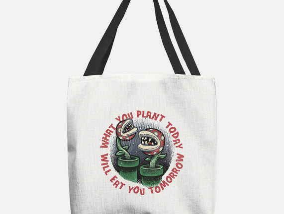 Plant Today Eat Tomorrow