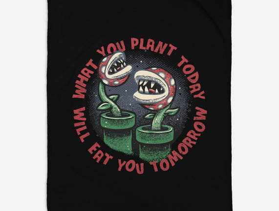Plant Today Eat Tomorrow