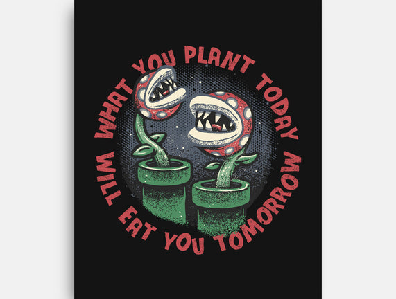 Plant Today Eat Tomorrow
