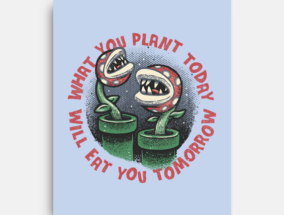 Plant Today Eat Tomorrow