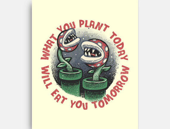 Plant Today Eat Tomorrow