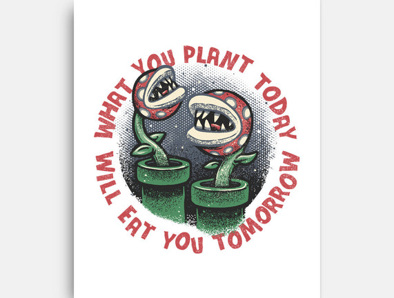 Plant Today Eat Tomorrow