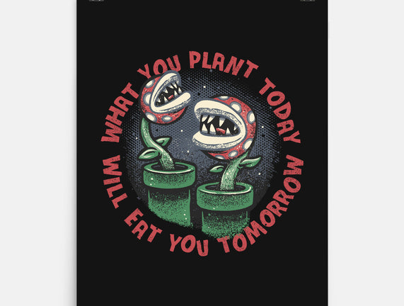 Plant Today Eat Tomorrow