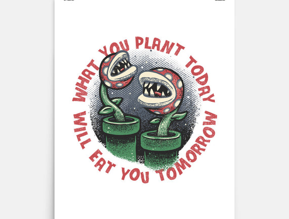 Plant Today Eat Tomorrow