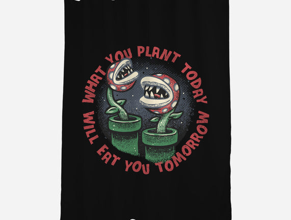 Plant Today Eat Tomorrow