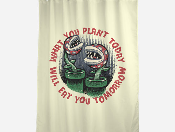 Plant Today Eat Tomorrow