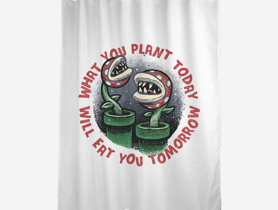 Plant Today Eat Tomorrow