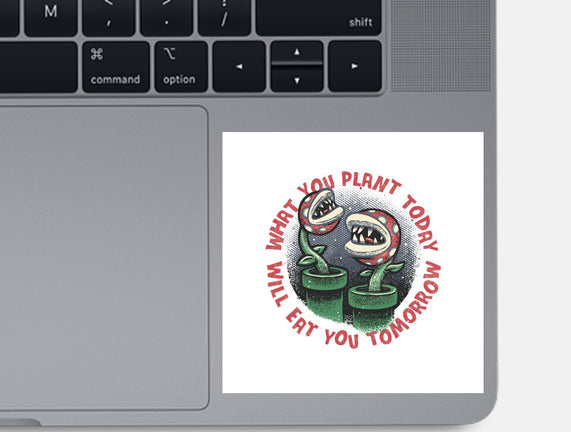 Plant Today Eat Tomorrow