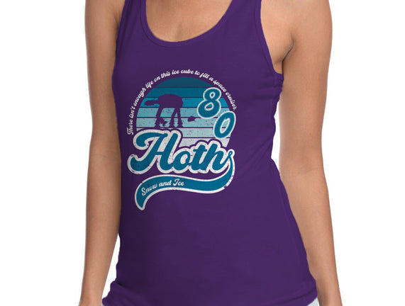 Vintage Snow And Ice