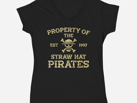 Straw Hat Pirates