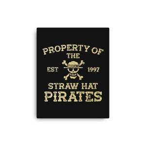 Straw Hat Pirates
