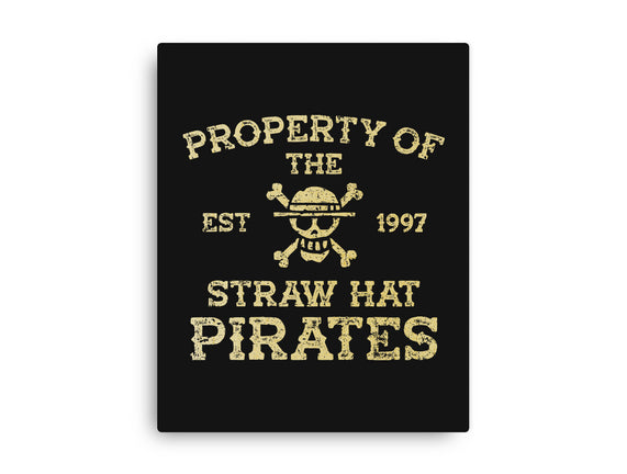 Straw Hat Pirates