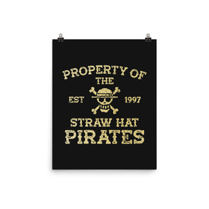 Straw Hat Pirates