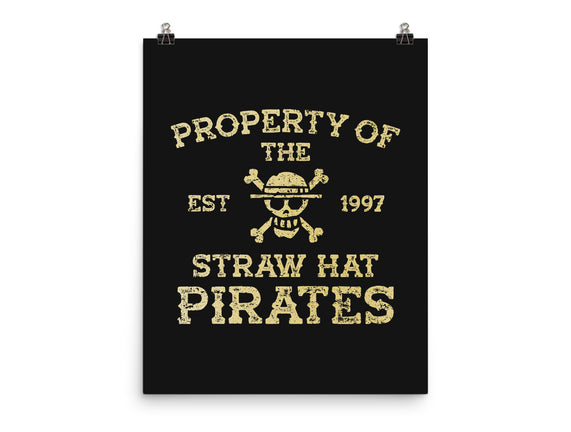 Straw Hat Pirates