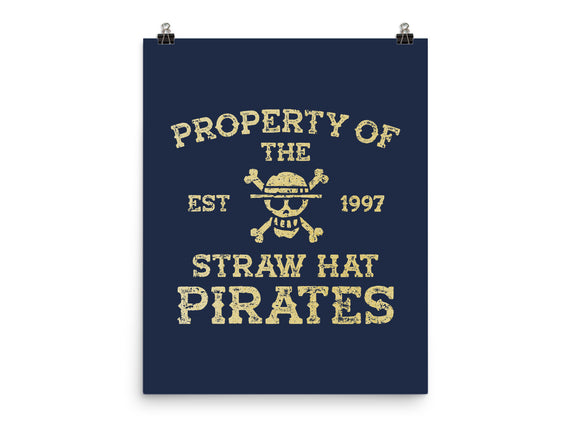 Straw Hat Pirates