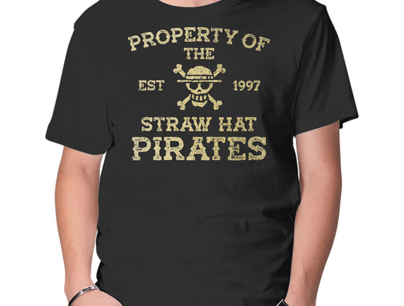 Straw Hat Pirates