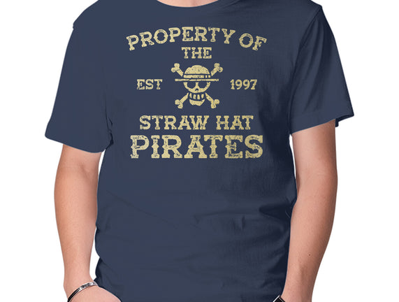 Straw Hat Pirates
