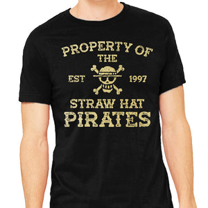 Straw Hat Pirates
