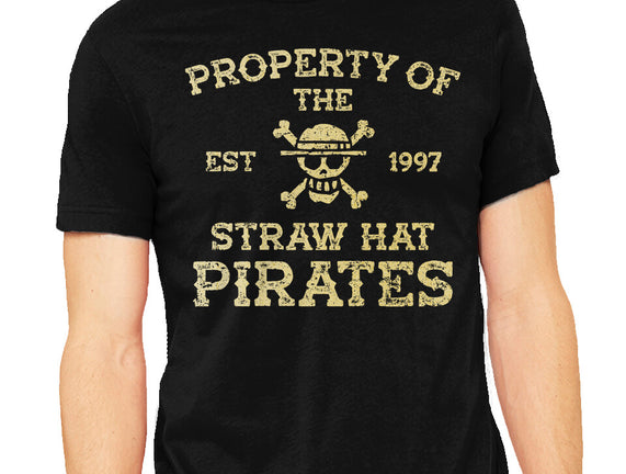 Straw Hat Pirates
