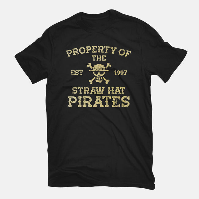 Straw Hat Pirates-Mens-Heavyweight-Tee-kg07