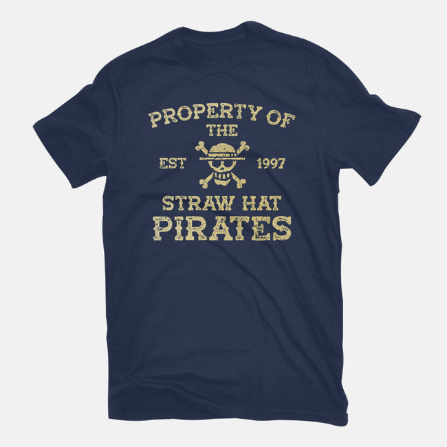 Straw Hat Pirates-Womens-Fitted-Tee-kg07