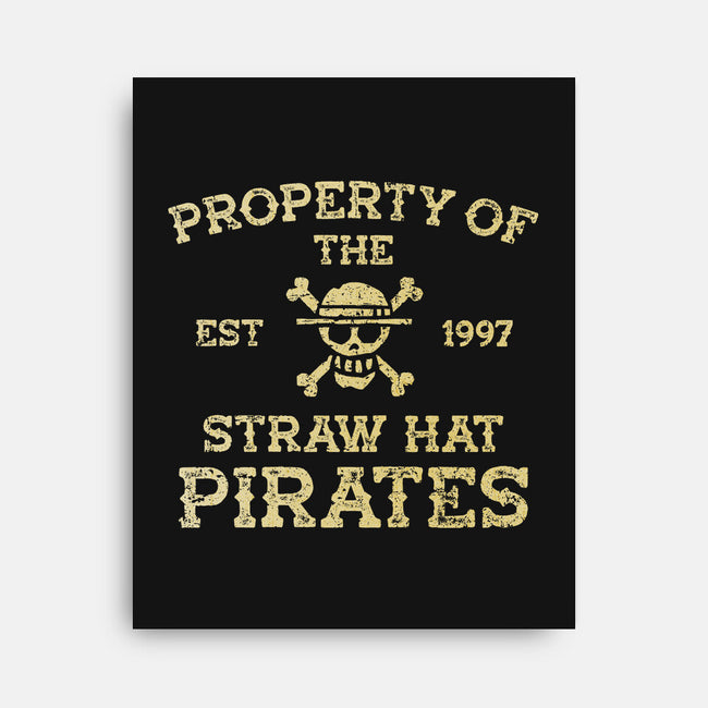 Straw Hat Pirates-None-Stretched-Canvas-kg07