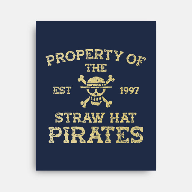 Straw Hat Pirates-None-Stretched-Canvas-kg07