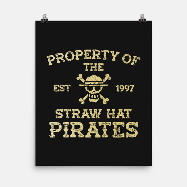 Straw Hat Pirates-None-Matte-Poster-kg07