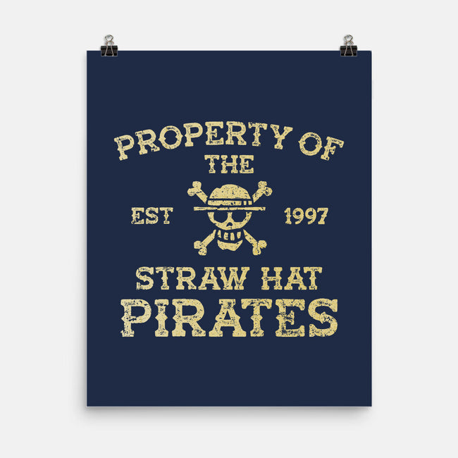 Straw Hat Pirates-None-Matte-Poster-kg07