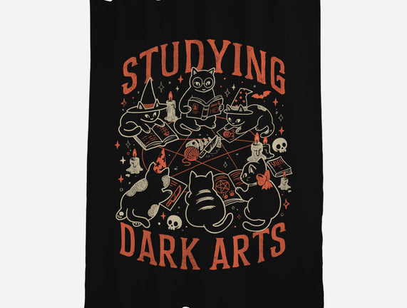 Studying Dark Arts