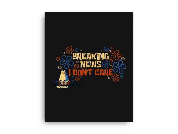 Breaking News I Don't Care
