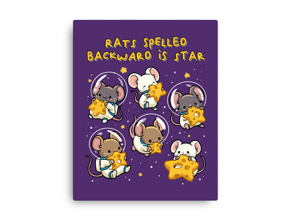 Rats Spelled Backward Is Star