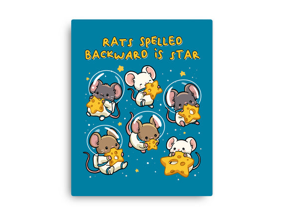 Rats Spelled Backward Is Star