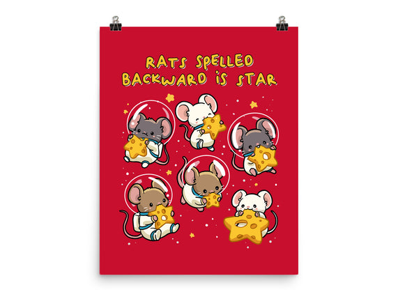 Rats Spelled Backward Is Star