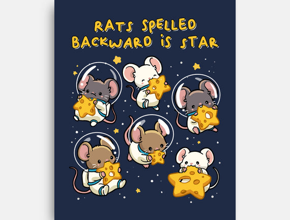 Rats Spelled Backward Is Star