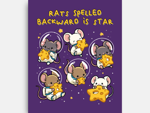 Rats Spelled Backward Is Star