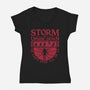 Storm The Upside Down-Womens-V-Neck-Tee-teesgeex