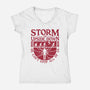 Storm The Upside Down-Womens-V-Neck-Tee-teesgeex