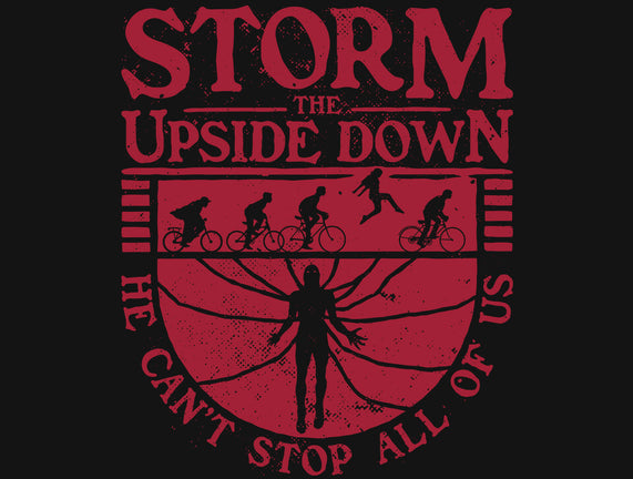 Storm The Upside Down