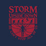 Storm The Upside Down-None-Matte-Poster-teesgeex