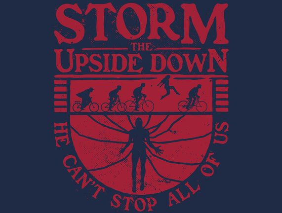 Storm The Upside Down